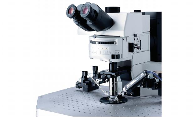 科研级电生理显微镜